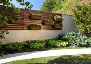 Deck De Madeira Para Jardim Vertical